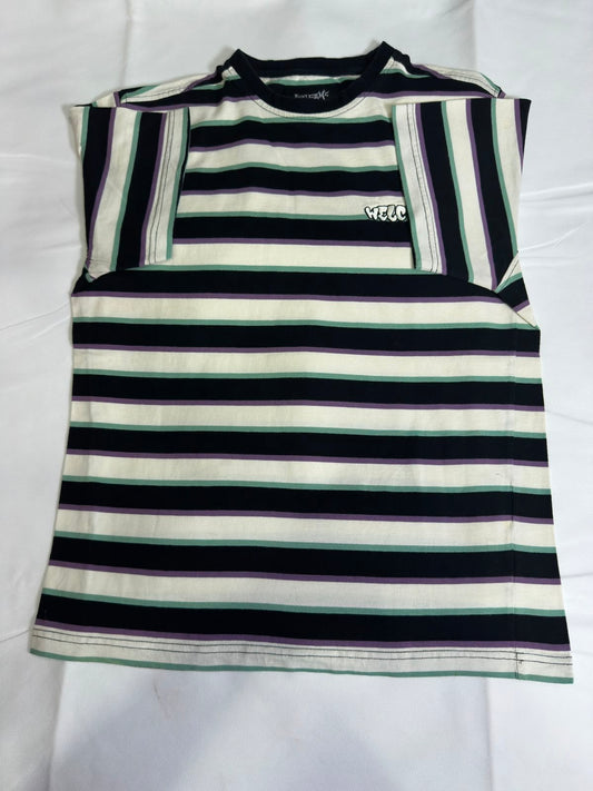 Preloved Welcome Skateboards Multi-Color Horizontal Striped Logo T-Shirt